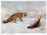 Archibald Thorburn Canvas Paintings - The Windfall